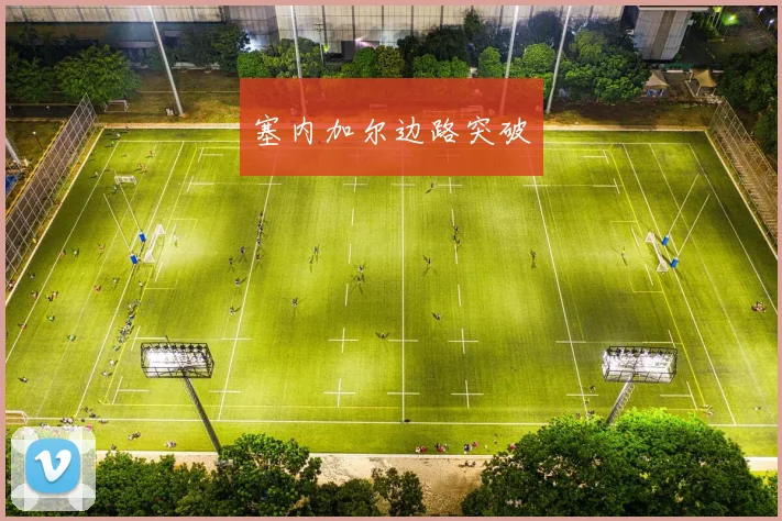 塞内加尔边路突破 - 必赢BWIN手机站官网