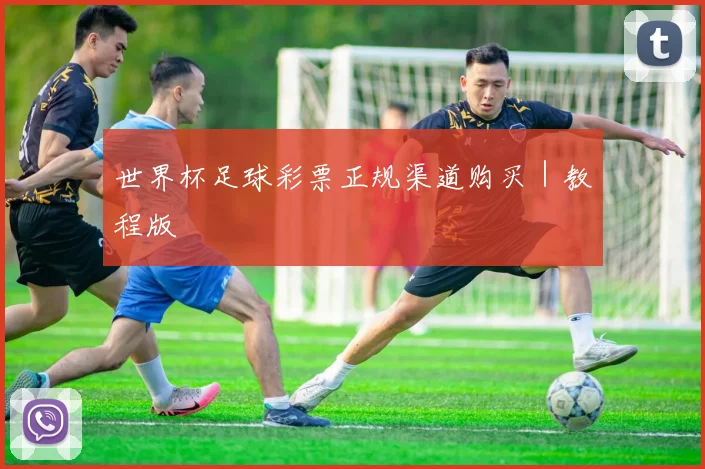世界杯足球彩票正规渠道购买｜教程版 - 必赢BWIN手机站官网
