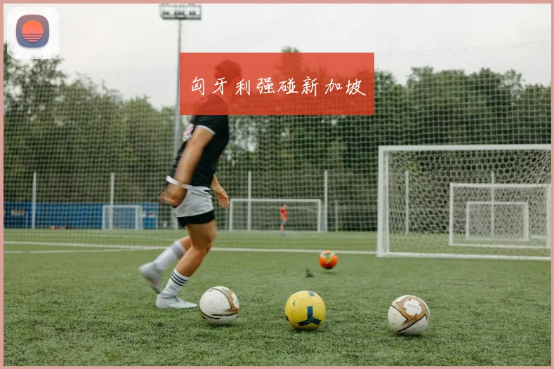 匈牙利强碰新加坡 - 必赢BWIN手机站官网