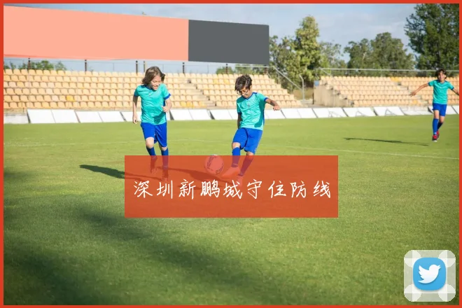 深圳新鹏城守住防线 - 必赢BWIN手机站官网