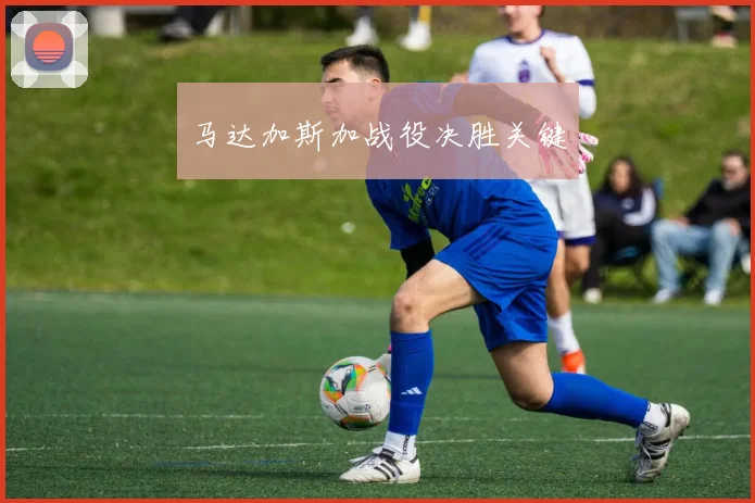 马达加斯加战役决胜关键 - 必赢BWIN手机站官网