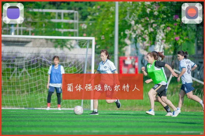 葡体强碰凯尔特人 - 必赢BWIN手机站官网