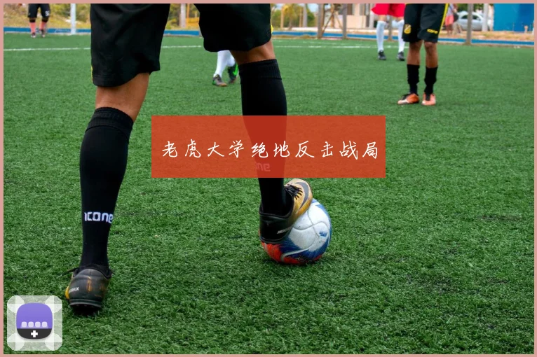 老虎大学绝地反击战局 - 必赢BWIN手机站官网