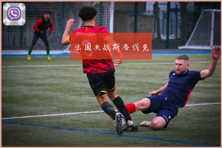法国决战斯洛伐克 - 必赢BWIN手机站官网