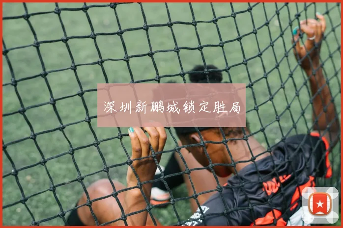 深圳新鹏城锁定胜局 - 必赢BWIN手机站官网