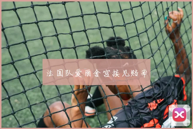 法国队爱丽舍宫接见赔率 - 必赢BWIN手机站官网