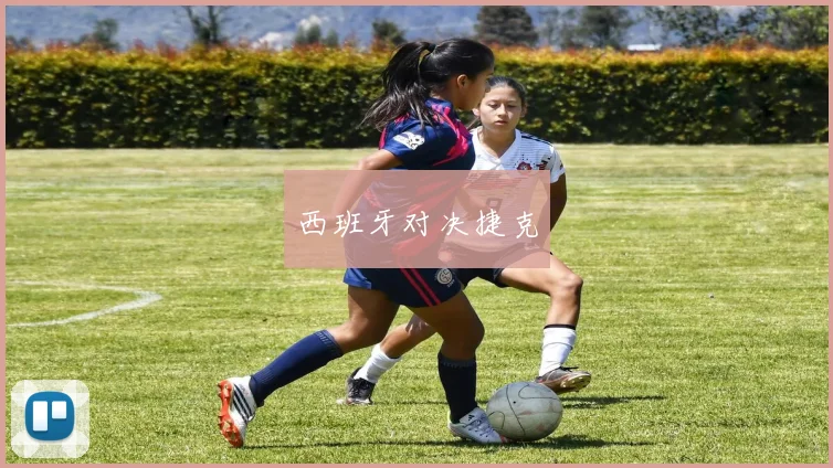 西班牙对决捷克 - 必赢BWIN手机站官网