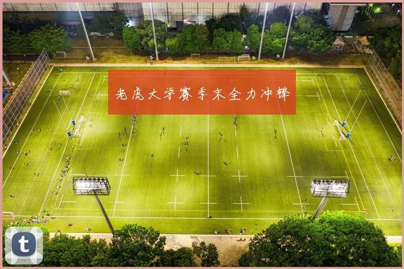 老虎大学赛季末全力冲锋 - 必赢BWIN手机站官网