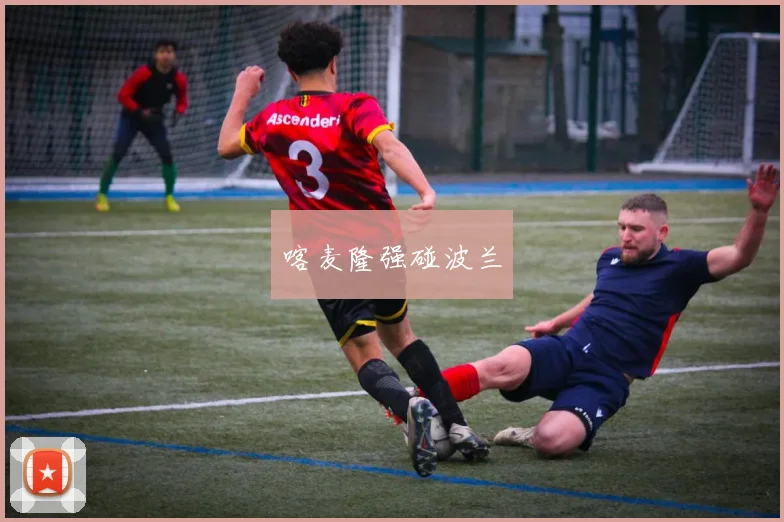 喀麦隆强碰波兰 - 必赢BWIN手机站官网