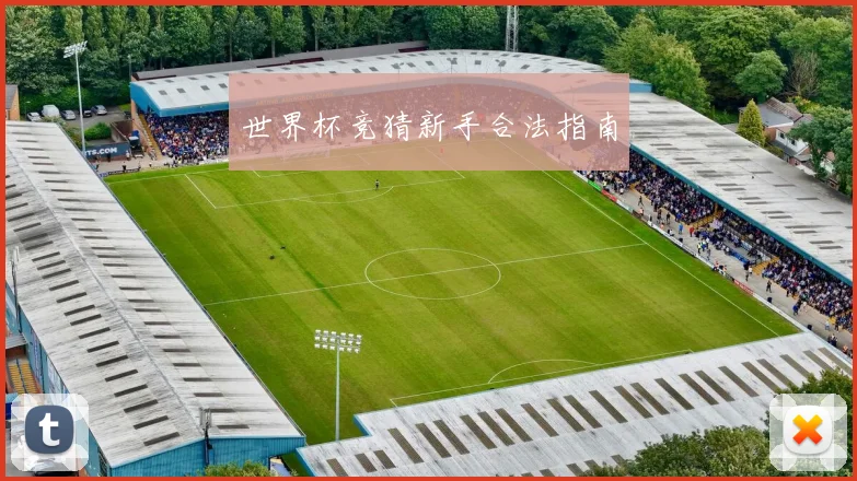 世界杯竞猜新手合法指南 - 必赢BWIN手机站官网