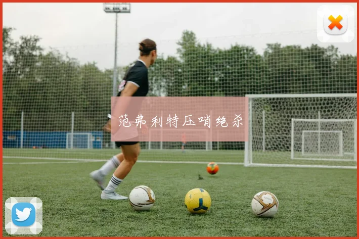 范弗利特压哨绝杀 - 必赢BWIN手机站官网