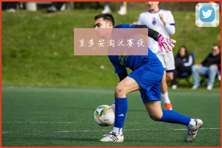京多安淘汰赛夜 - 必赢BWIN手机站官网