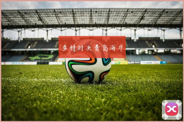 多特对决青岛海牛 - 必赢BWIN手机站官网