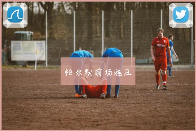 帕尔默前场施压 - 必赢BWIN手机站官网