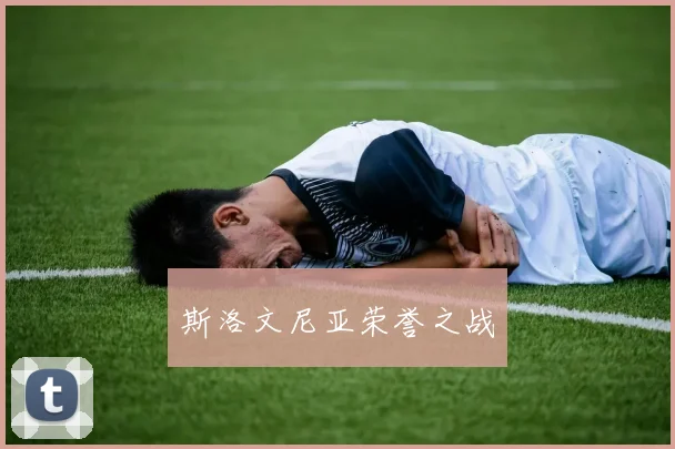 斯洛文尼亚荣誉之战 - 必赢BWIN手机站官网