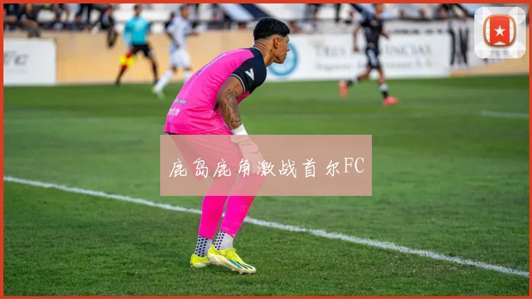 鹿岛鹿角激战首尔FC - 必赢BWIN手机站官网
