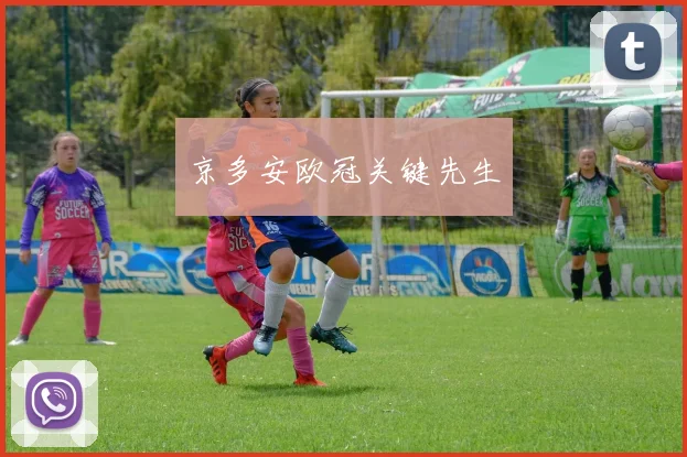 京多安欧冠关键先生 - 必赢BWIN手机站官网