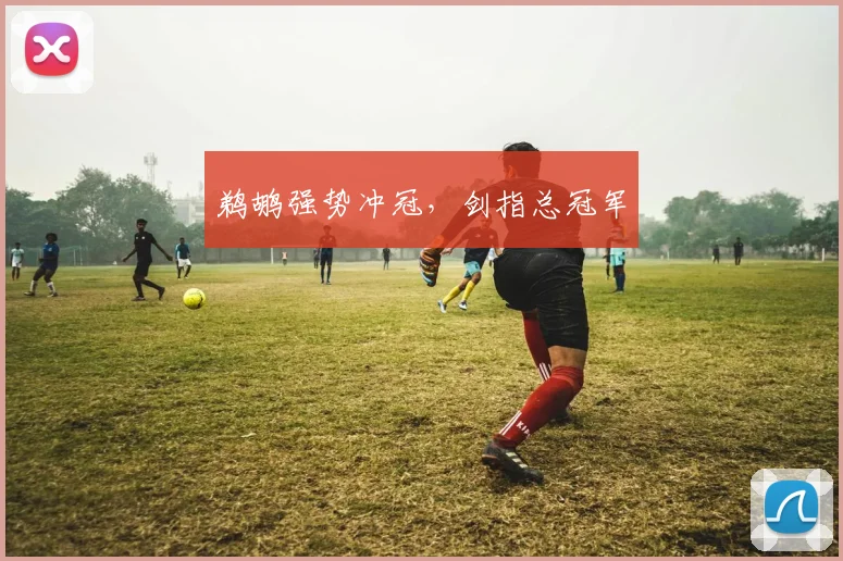 鹈鹕强势冲冠，剑指总冠军 - 必赢BWIN手机站官网