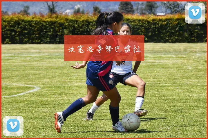 坎塞洛争锋巴雷拉 - 必赢BWIN手机站官网