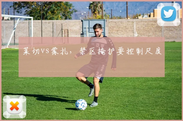 莱切vs蒙扎,禁区掩护要控制尺度