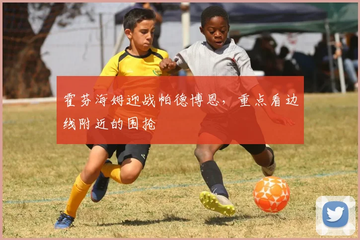 霍芬海姆迎战帕德博恩，重点看边线附近的围抢
